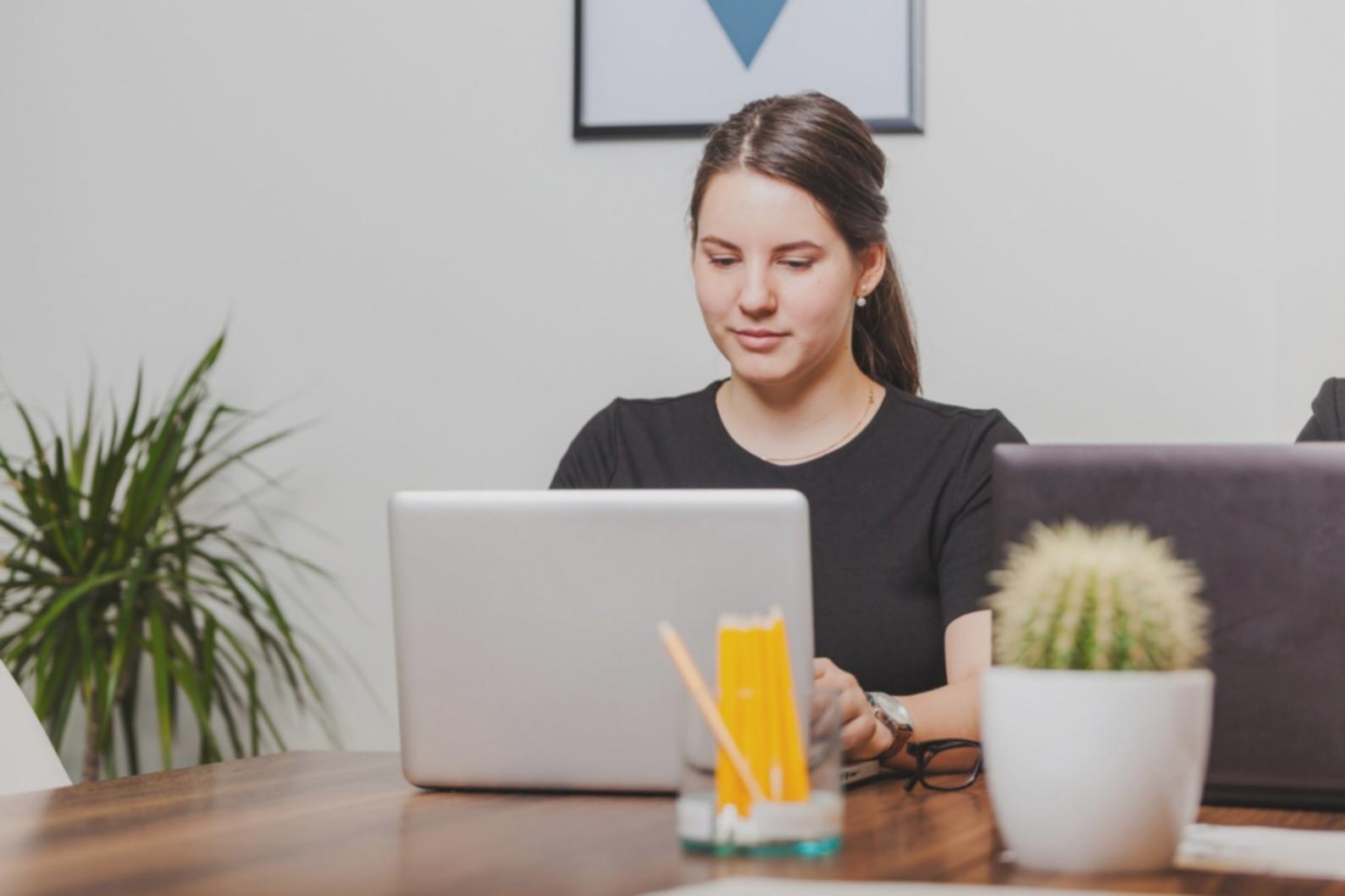 Teilnehmer des Bildungsprogramms bei der Portfolioanalyse